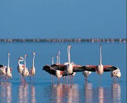 静海天气预报15天