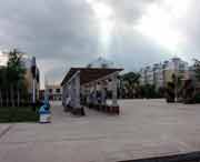 青冈天气预报15天