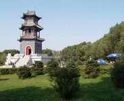 榆树天气预报15天