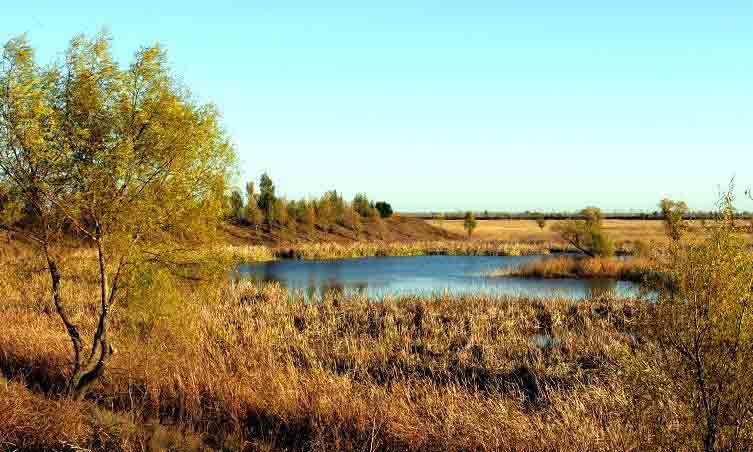 台安天气预报15天
