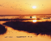 衡水天气预报15天