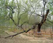 夏津天气预报15天