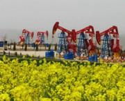 西峰天气预报15天