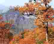 武山天气预报15天