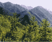 西和天气预报15天