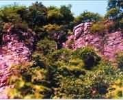 遂平天气预报15天