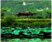 蔡甸天气预报15天