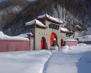 新洲天气预报15天