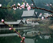 浠水天气预报30天