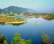 阳新天气预报15天