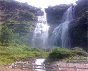 泰顺天气预报30天