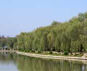 阜南天气预报15天