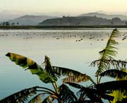 柘荣天气预报15天