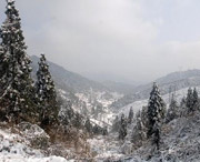 武冈天气预报15天