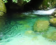 独山天气预报15天