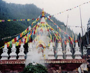 金川天气预报15天