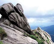 新丰天气预报15天