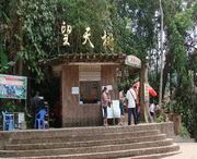 勐腊天气预报15天