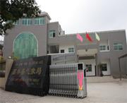 西林天气预报15天